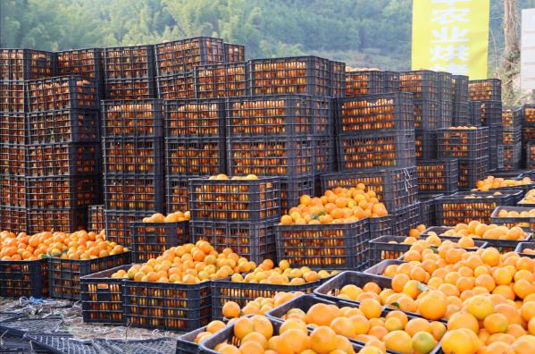 ���������´�������+�����뷢�� �ָ����ۡ���ͷ����