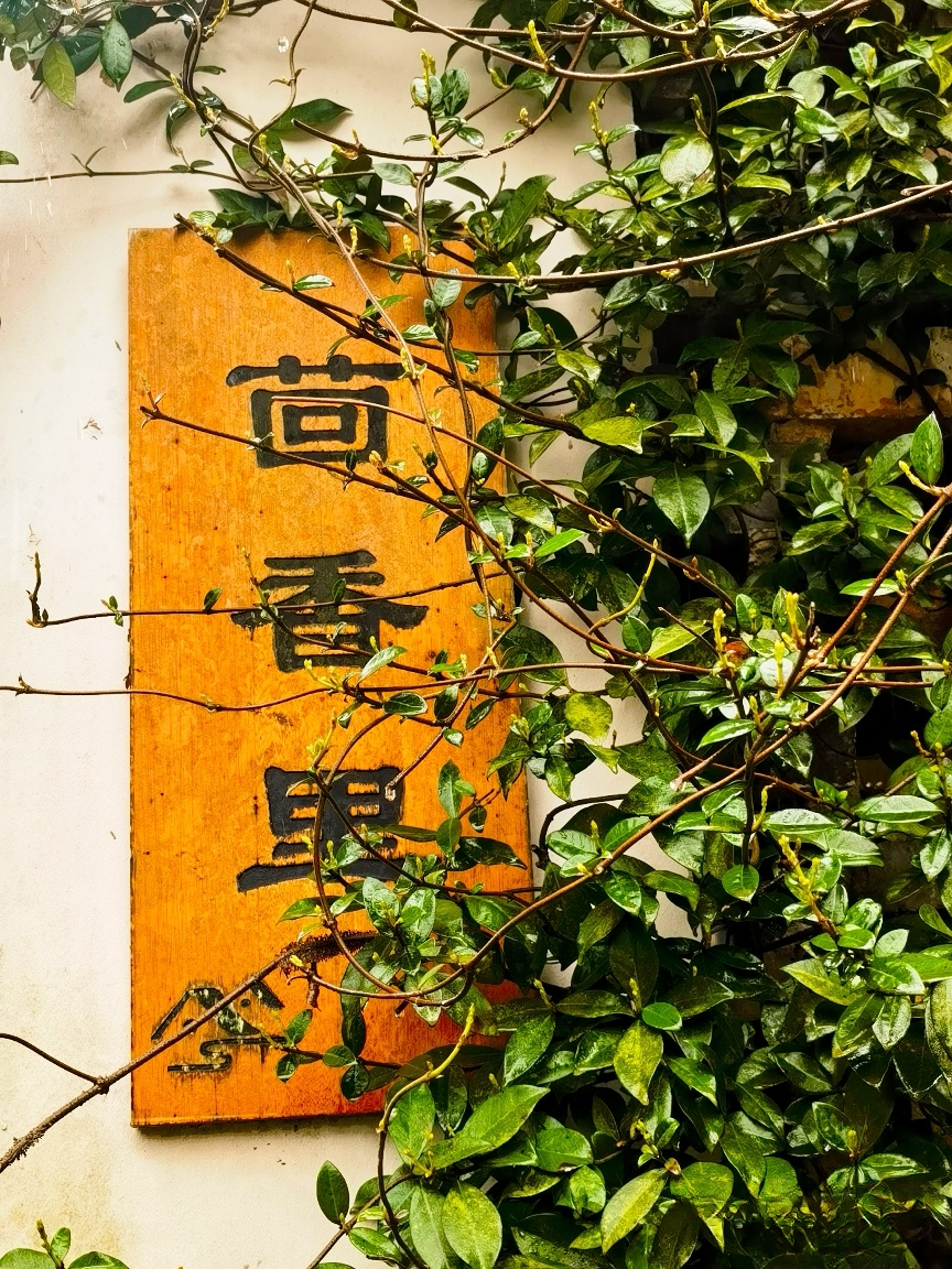 ���ֹ�ȥ��